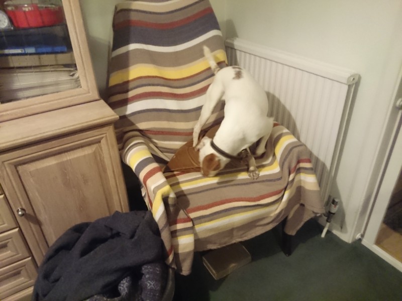 Oldwoman uploaded   3 year/s ago