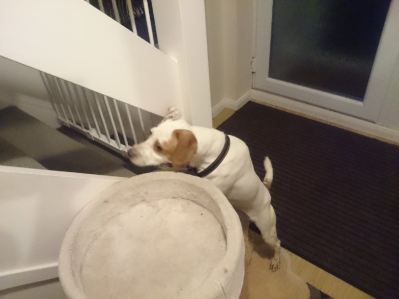 Oldwoman uploaded   3 year/s ago