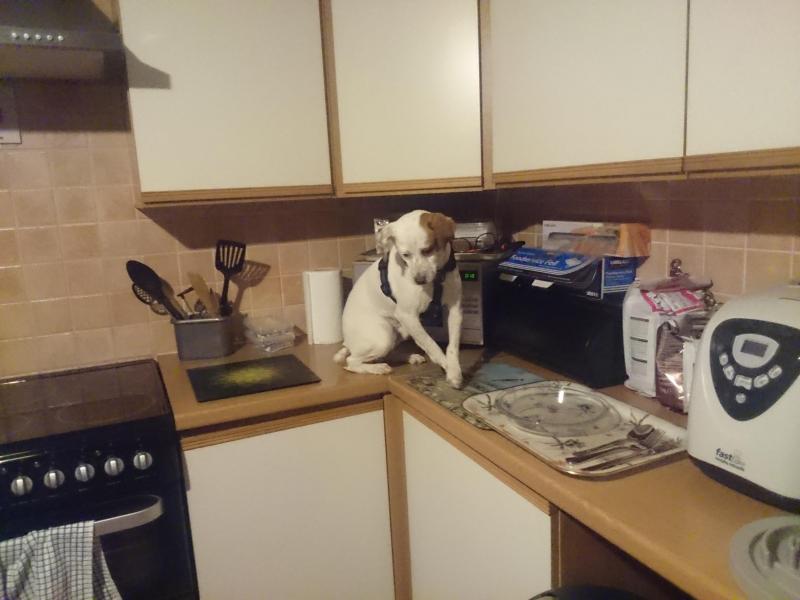 Oldwoman uploaded   3 year/s ago