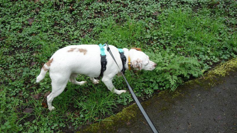 Oldwoman uploaded   3 year/s ago