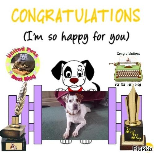 Oldwoman uploaded   2 year/s ago
