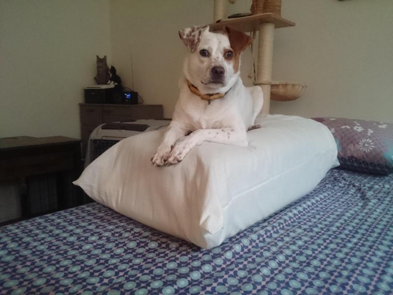 Oldwoman uploaded   2 year/s ago
