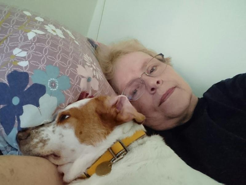 Oldwoman uploaded   2 year/s ago