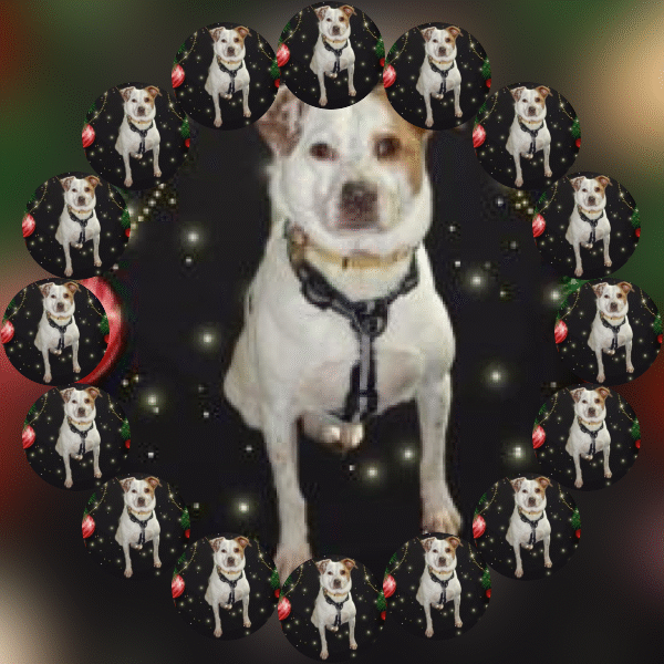 Oldwoman uploaded   1 year/s ago