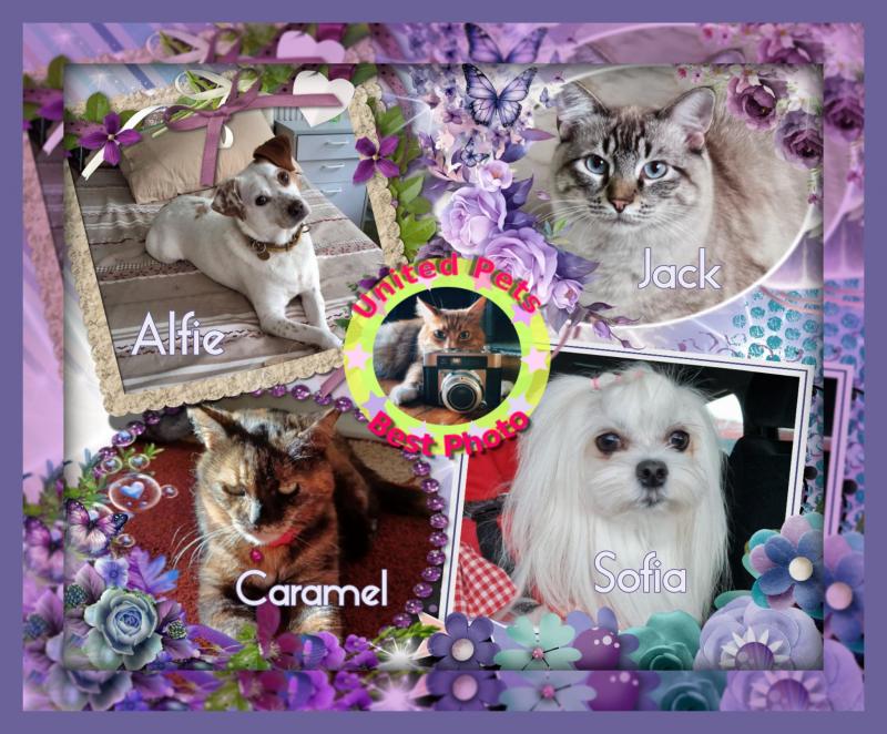 Alfie of the Oldwoman family