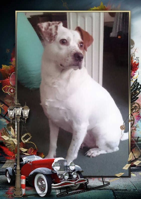 Oldwoman uploaded   2 year/s ago