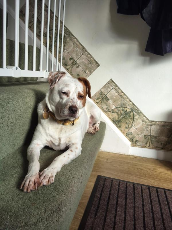 Oldwoman uploaded   1 year/s ago