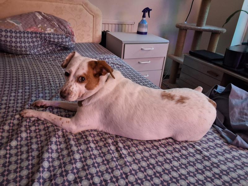 Oldwoman uploaded   1 year/s ago