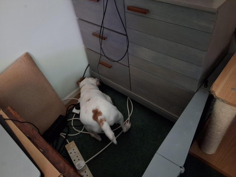 Oldwoman uploaded   1 year/s ago