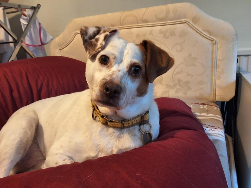 Oldwoman uploaded   1 year/s ago