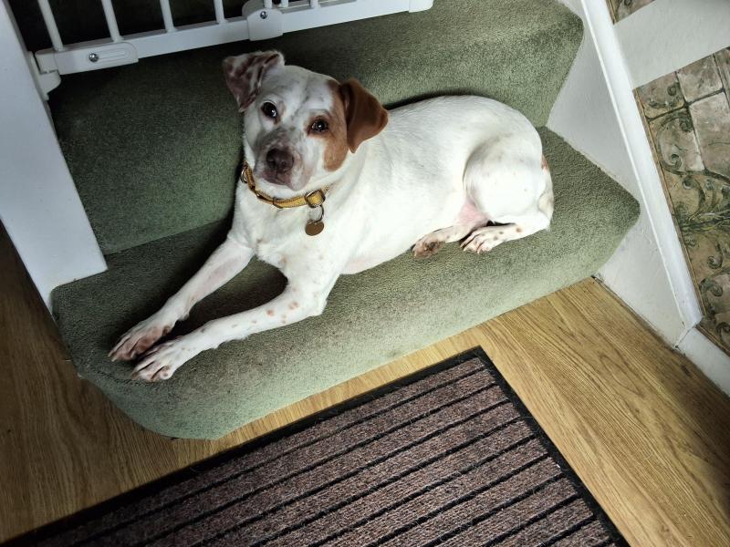 Oldwoman uploaded   1 year/s ago