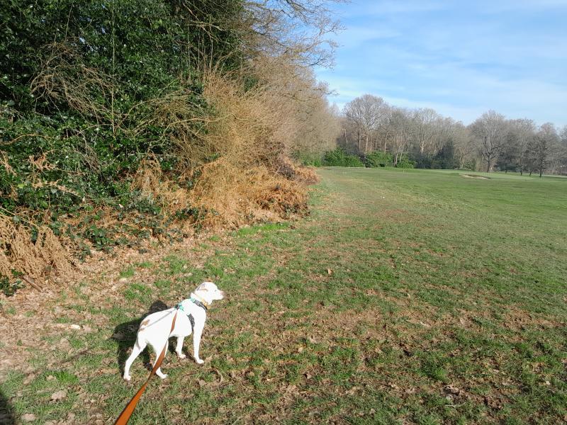 Oldwoman uploaded   1 year/s ago