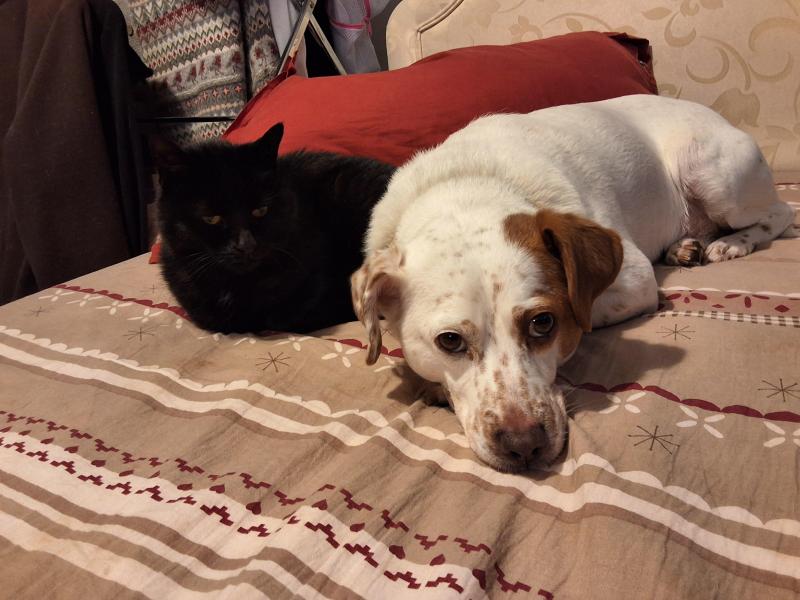 Oldwoman uploaded   1 year/s ago