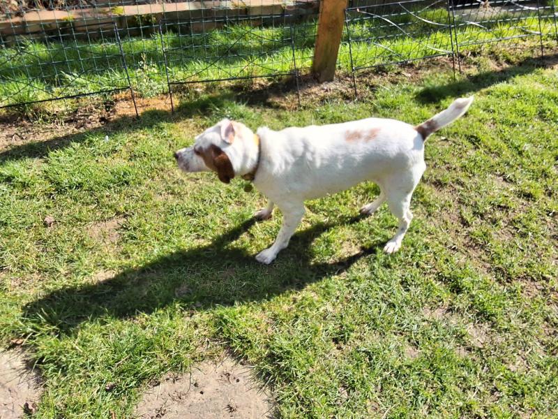 Oldwoman uploaded   1 year/s ago