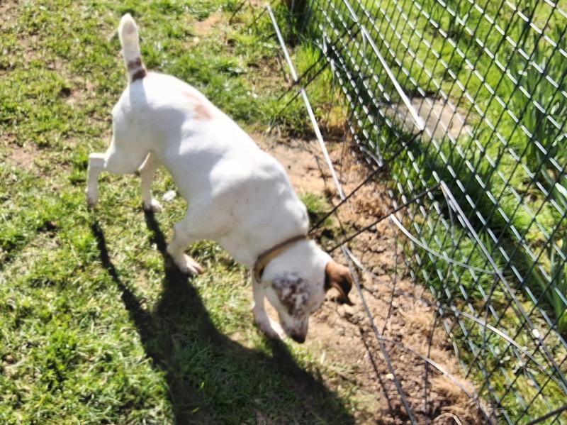 Oldwoman uploaded   1 year/s ago