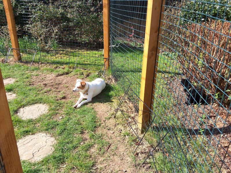 Oldwoman uploaded   1 year/s ago