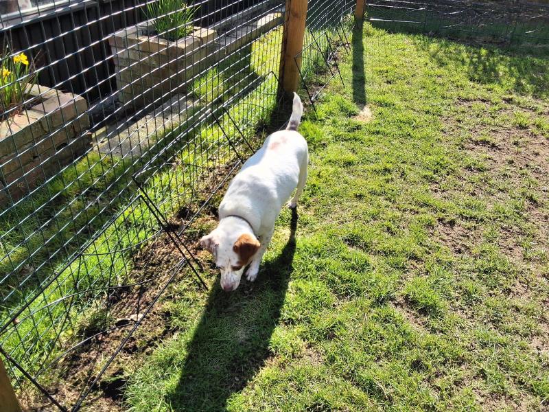 Oldwoman uploaded   1 year/s ago