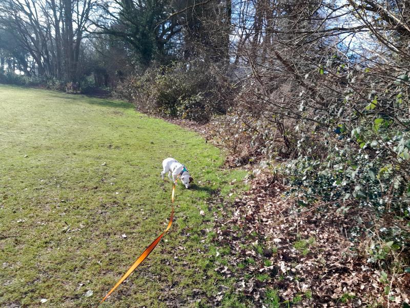 Oldwoman uploaded   1 year/s ago