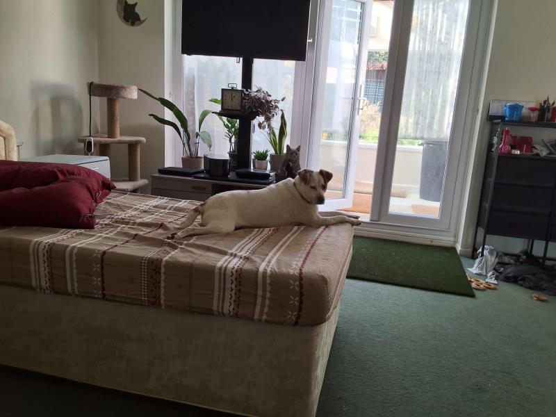 Oldwoman uploaded   1 year/s ago