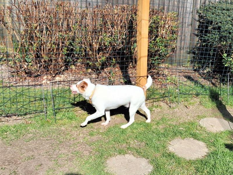 Oldwoman uploaded   1 year/s ago