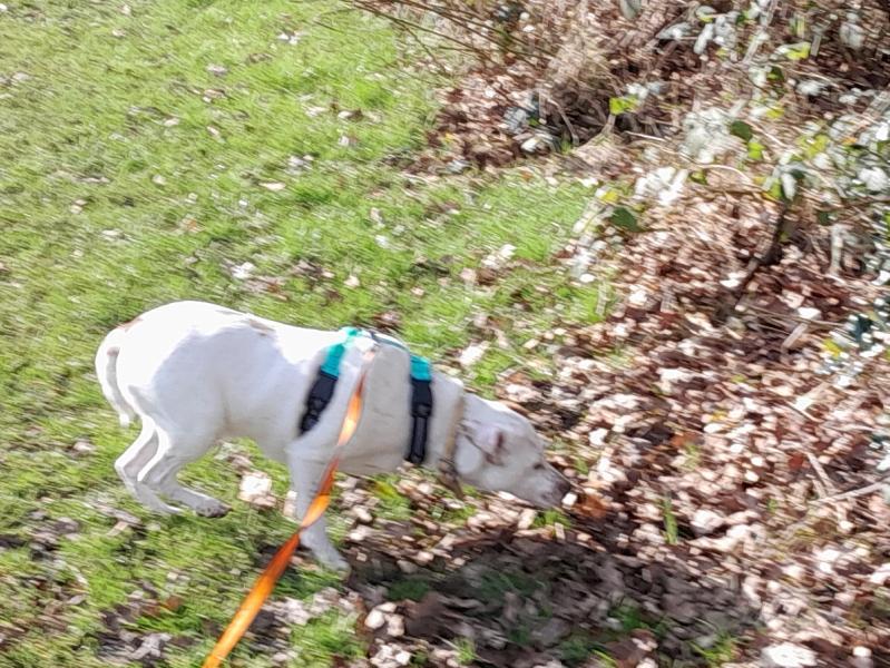 Oldwoman uploaded   1 year/s ago