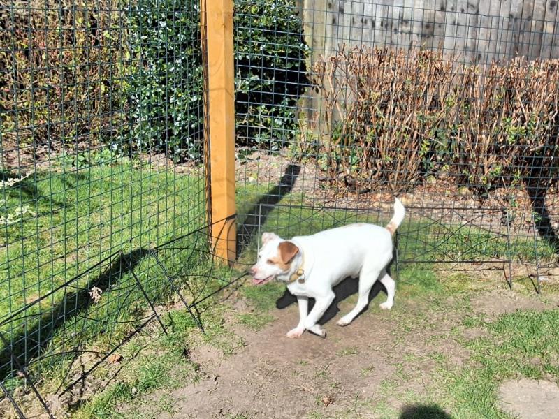 Oldwoman uploaded   1 year/s ago