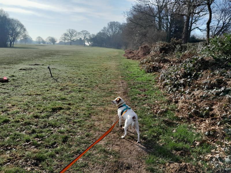 Oldwoman uploaded   1 year/s ago