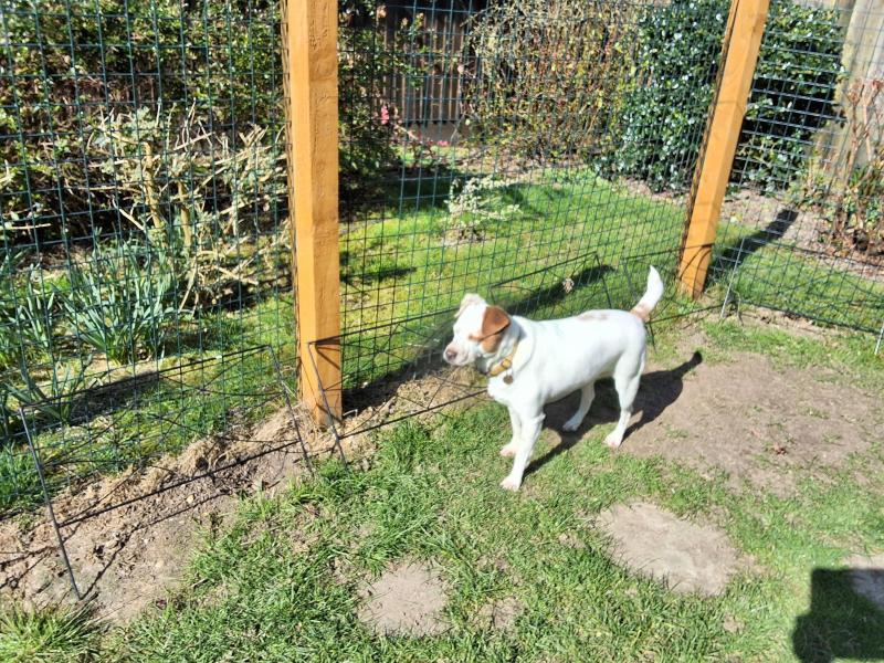 Oldwoman uploaded   1 year/s ago