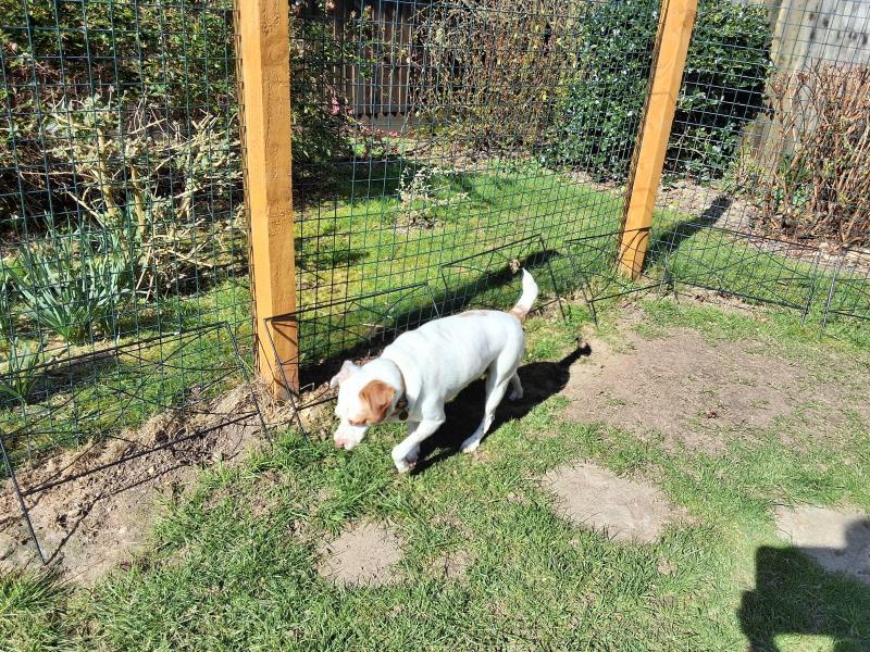 Oldwoman uploaded   1 year/s ago