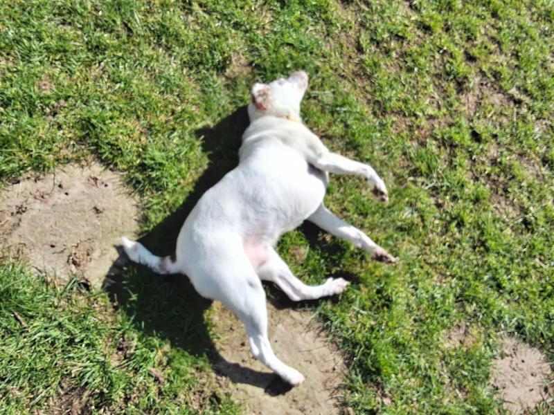 Oldwoman uploaded   1 year/s ago