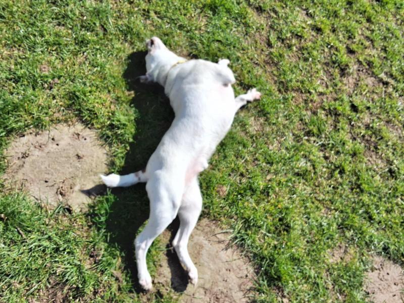 Oldwoman uploaded   1 year/s ago