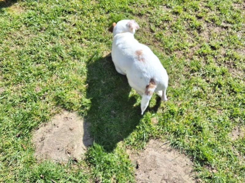 Oldwoman uploaded   1 year/s ago