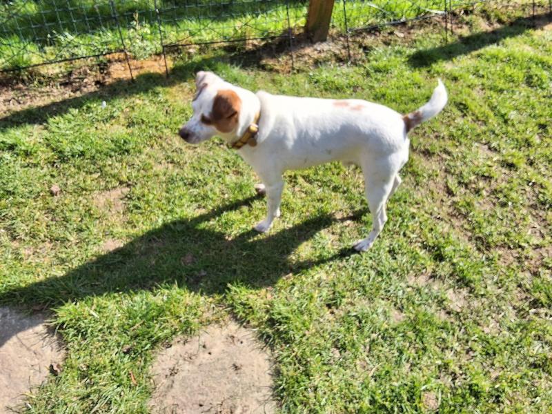 Oldwoman uploaded   1 year/s ago