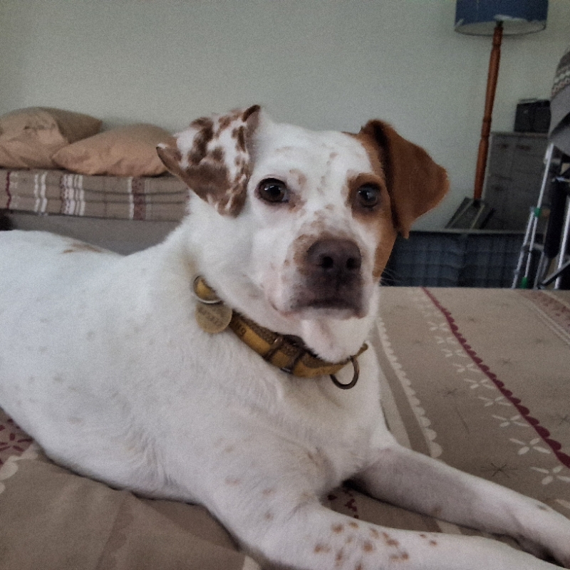 Alfie of the Oldwoman family