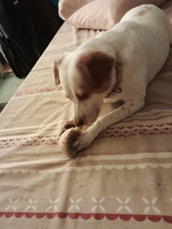 Alfie of the Oldwoman family