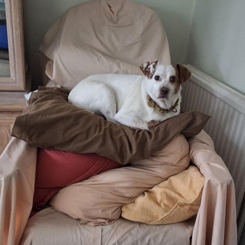 Alfie of the Oldwoman family