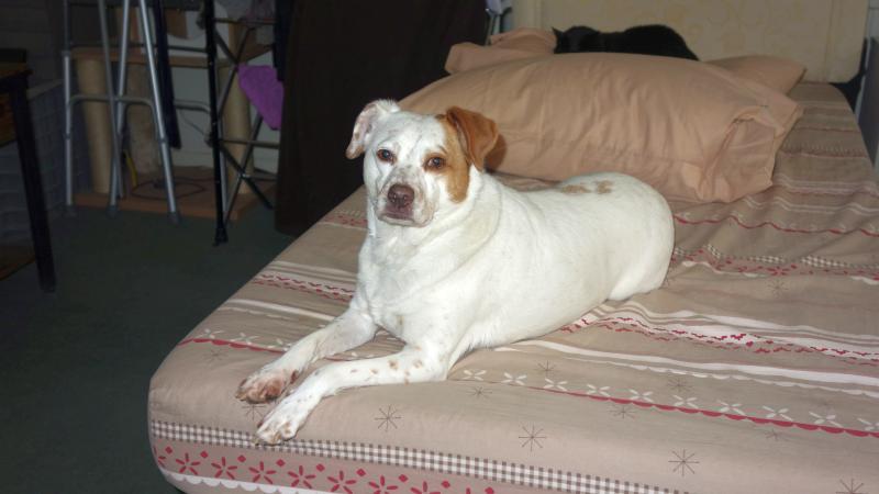 Oldwoman uploaded   1 year/s ago