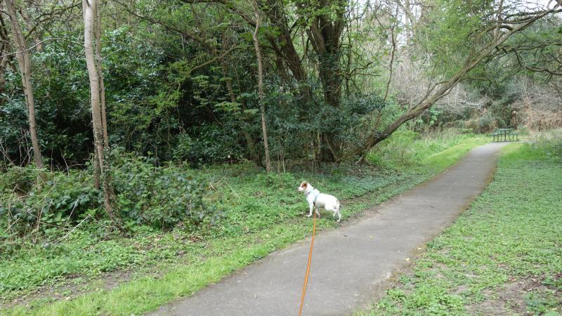 Oldwoman uploaded   1 year/s ago