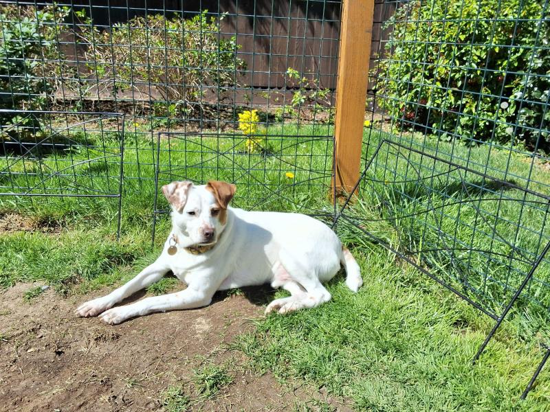 Oldwoman uploaded   364  day/s  ago