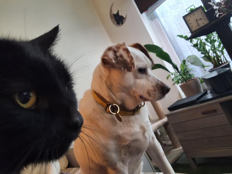 Oldwoman uploaded   335  day/s  ago