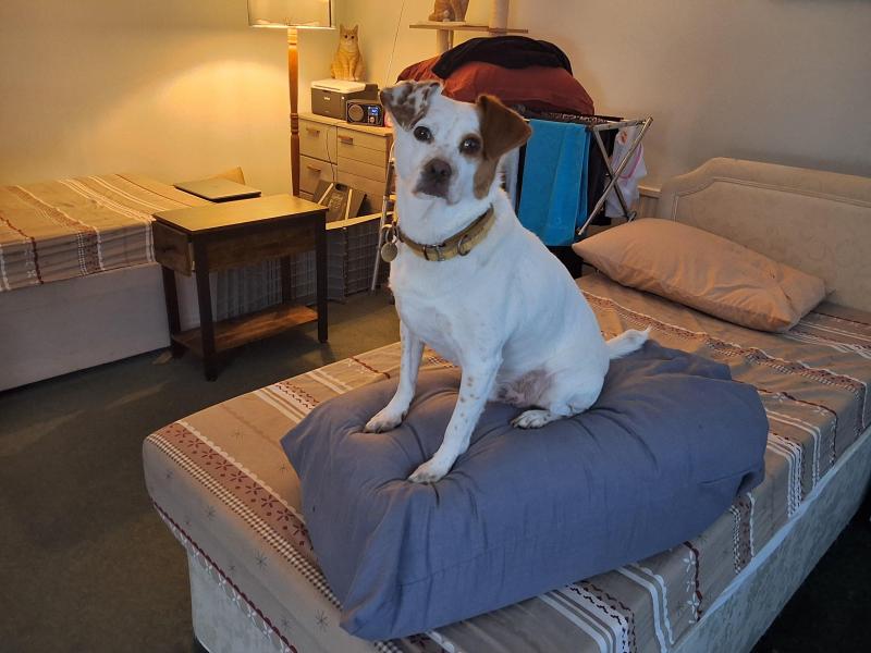 Oldwoman uploaded   335  day/s  ago