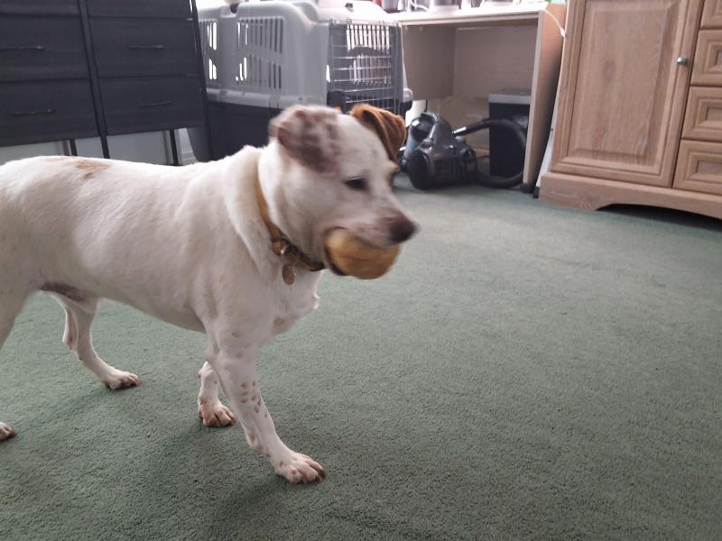 Oldwoman uploaded   357  day/s  ago