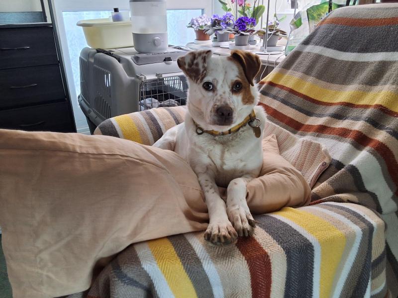 Oldwoman uploaded   318  day/s  ago