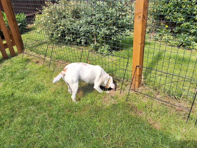 Oldwoman uploaded   316  day/s  ago