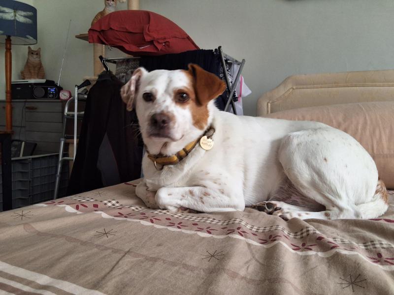 Oldwoman uploaded   303  day/s  ago