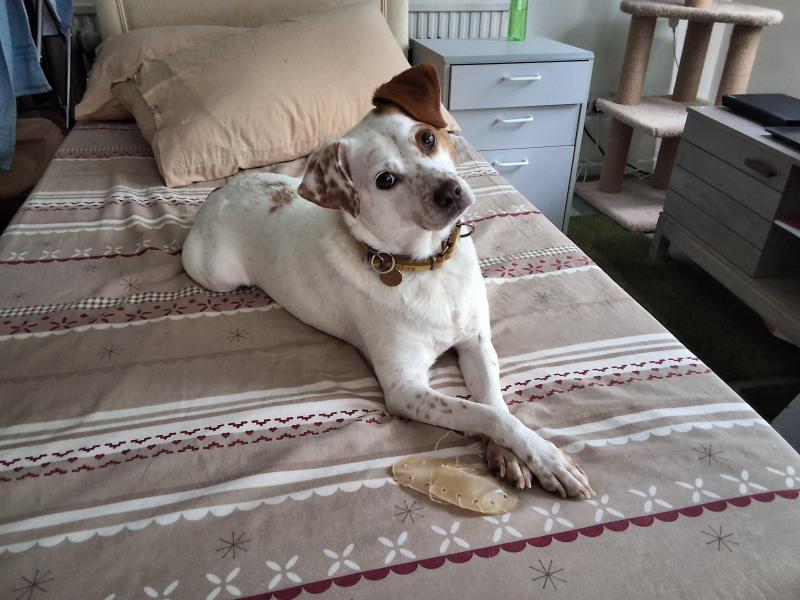 Oldwoman uploaded   205  day/s  ago