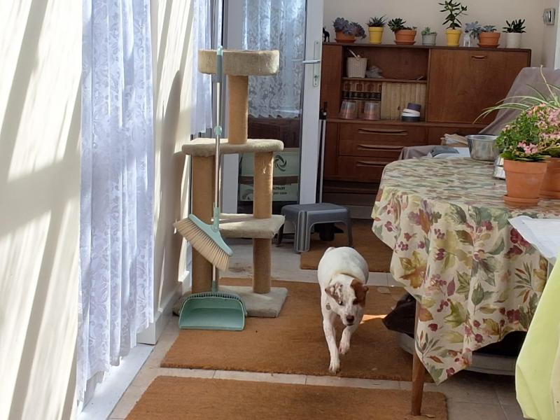 Oldwoman uploaded   281  day/s  ago