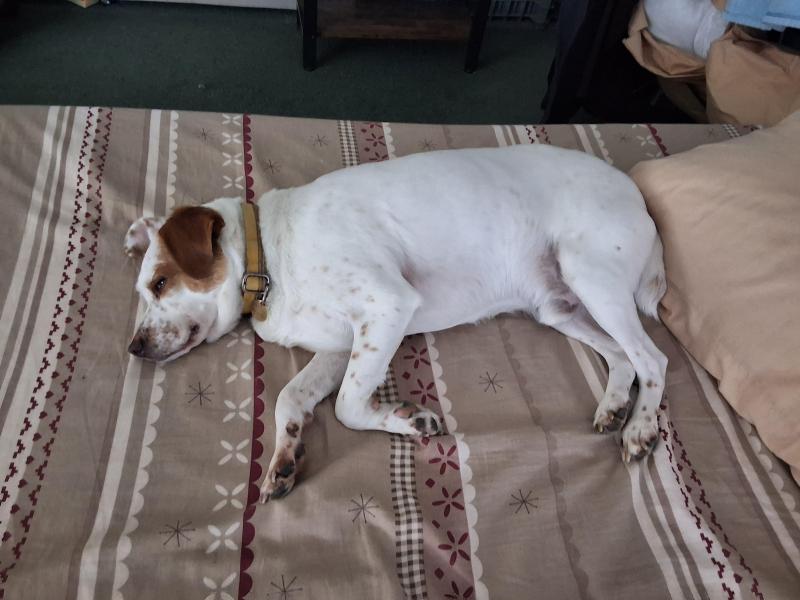 Oldwoman uploaded   298  day/s  ago