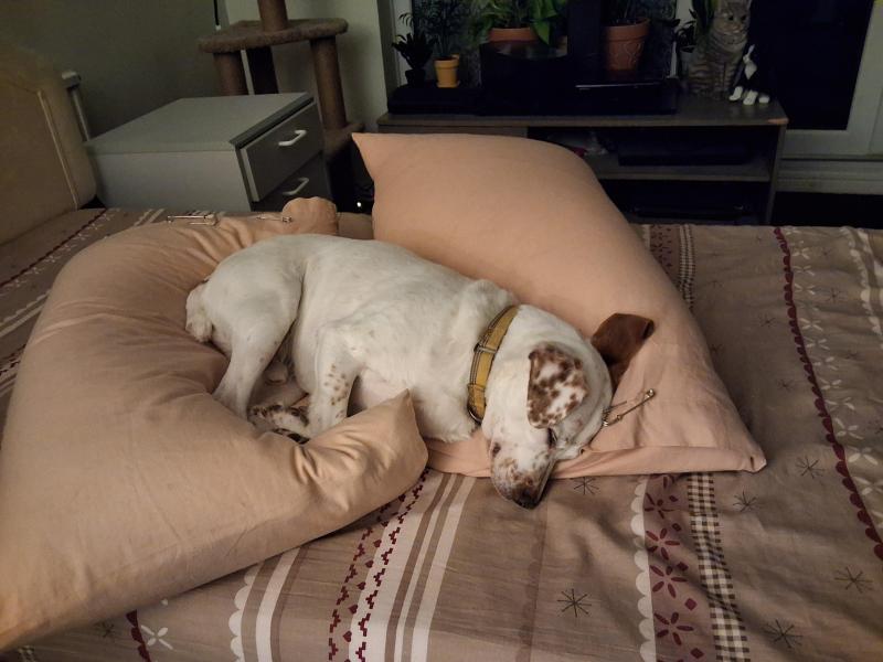 Oldwoman uploaded   292  day/s  ago