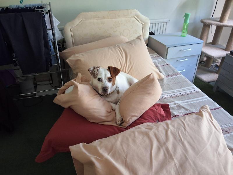 Oldwoman uploaded   259  day/s  ago